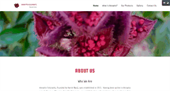 Desktop Screenshot of annatto-ci.com